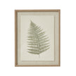 Bracken botanical art in a beaded wood frame, front view