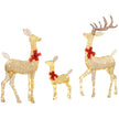 3-Piece Light-Up Reindeer Family on a white background