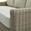 close-up of the seat cushion and wicker arm