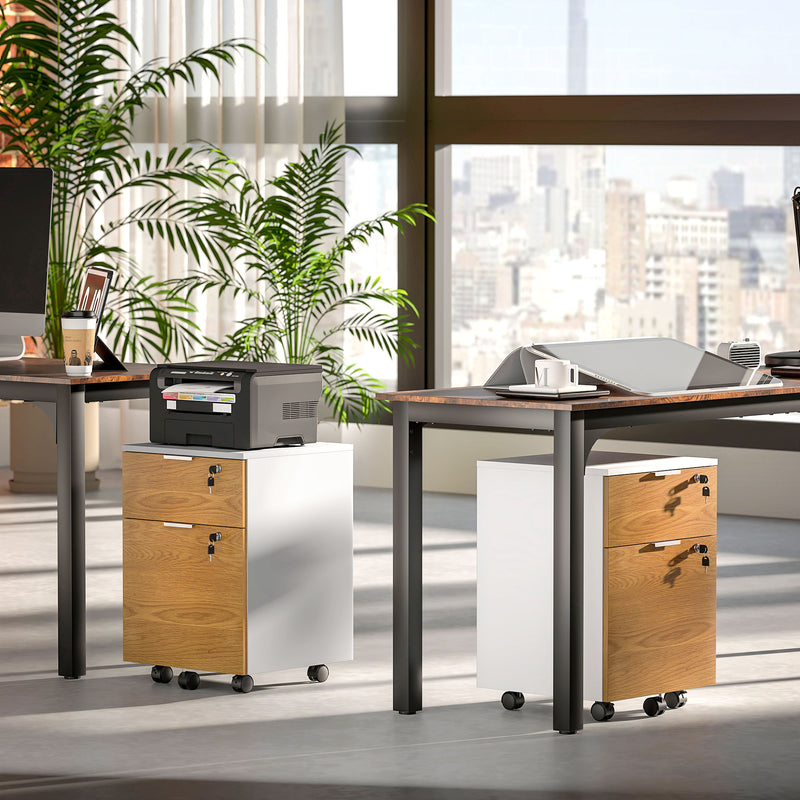 2-drawer lockable filing cabinet – image 9