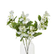 several cream Bauhinia orchid sprays in a glass vase