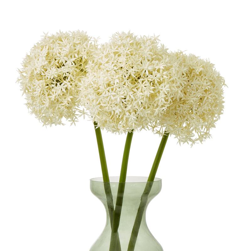 three cream allium stems in a glass vase