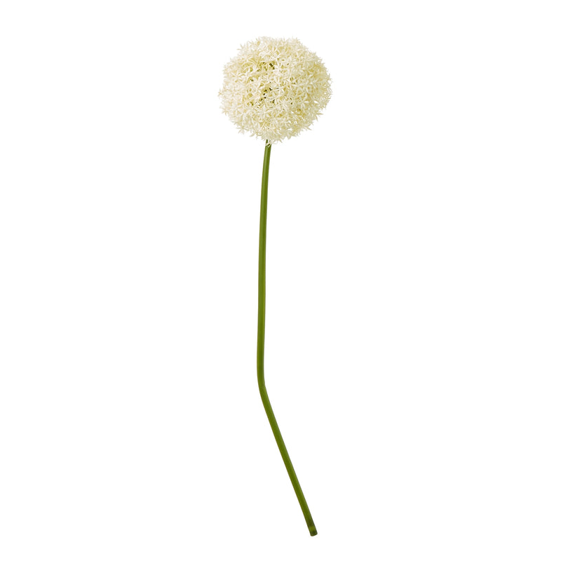 cream giant allium artificial stem
