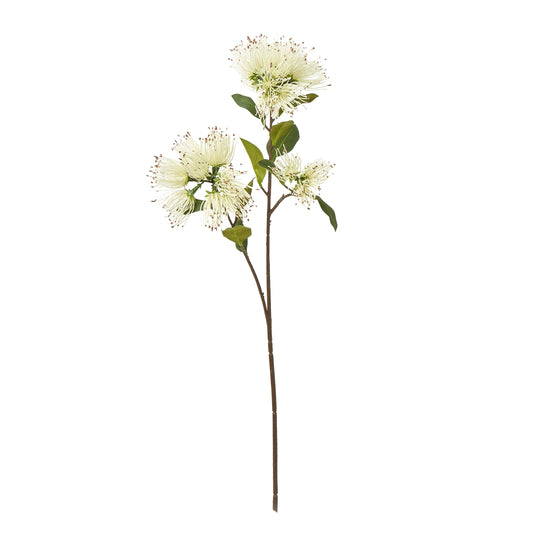 cream Protea nitida artificial spray, single stem