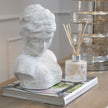 Cream stone bust on a stack of books beside a diffuser