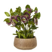 deep plum artificial hellebore in a taupe pot