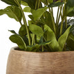 stems and the rim of the taupe pot
