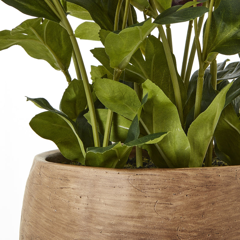 stems and the rim of the taupe pot