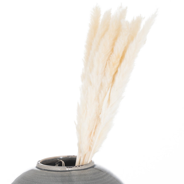 Mini white pampas grass in a grey vase