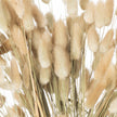 Close-up of the fluffy bunny tail heads