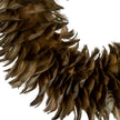 Close-up of the layered fawn feathers
