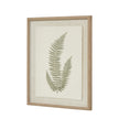 Fern framed art from an angle