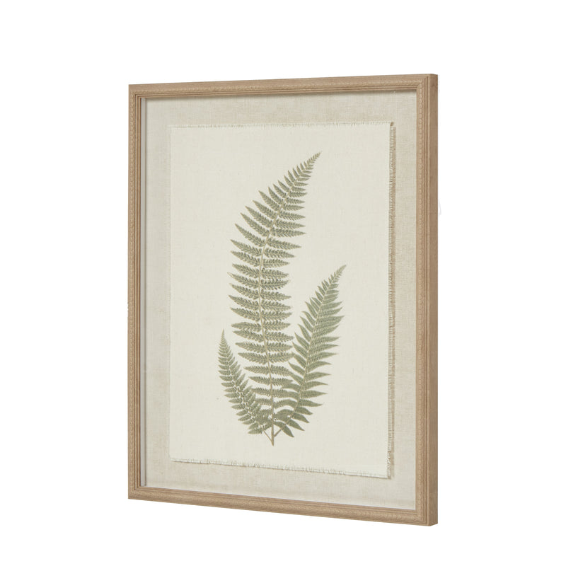 Fern framed art from an angle