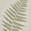 Close-up of the fern frond on textured paper