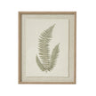 Fern botanical art in a beaded wood frame, front view