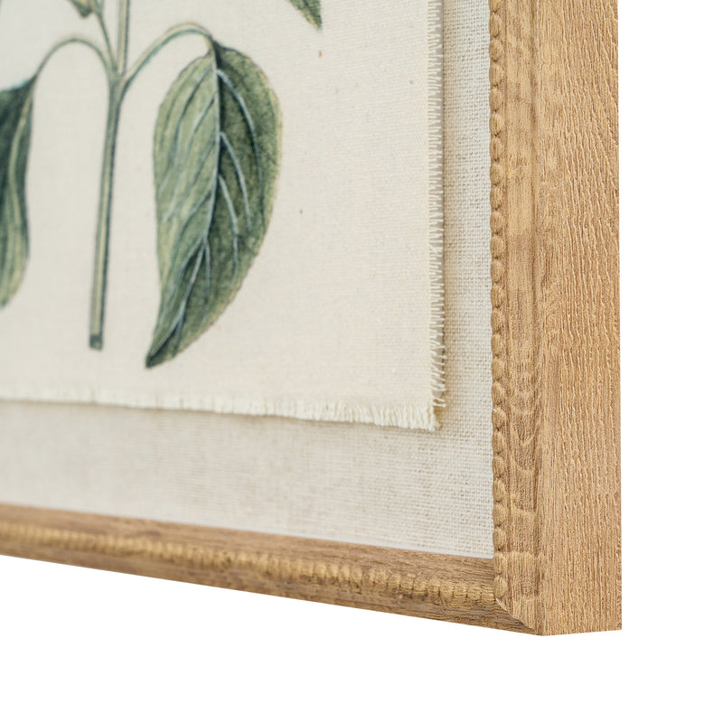 Close-up of the salvia leaves, frayed linen edge and frame corner