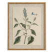 Salvia botanical print on linen in a beaded wood-tone frame, front view