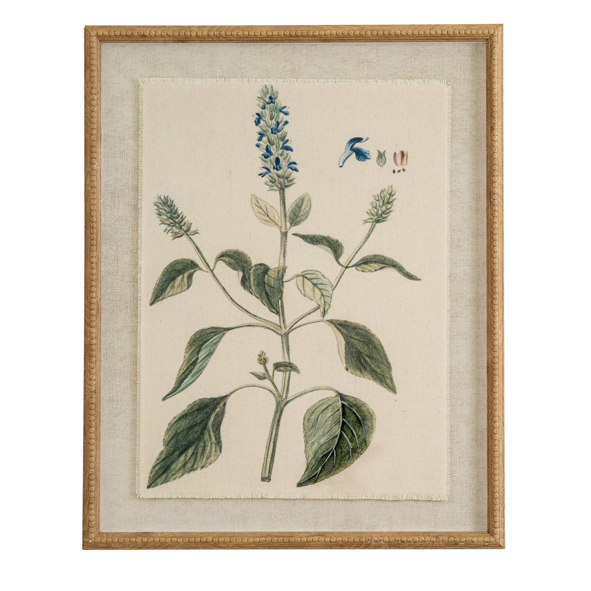 Salvia botanical print on linen in a beaded wood-tone frame, front view