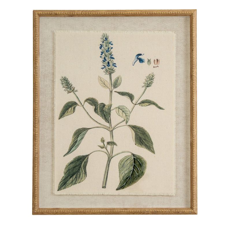 Salvia botanical print on linen in a beaded wood-tone frame, front view
