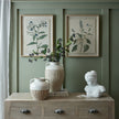 Salvia print hung on a green panelled wall beside a second botanical print sold separately
