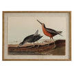 Snipes print on linen in a beaded wood-tone frame, front view