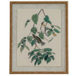 Warblers print on linen in a beaded wood-tone frame, front view