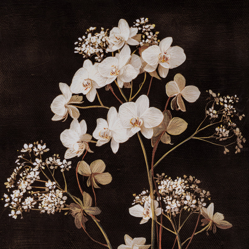 Four Botanicals Framed Wall Art in Classic Frame – 100 × 80cm, close-up of white blossom and stems
