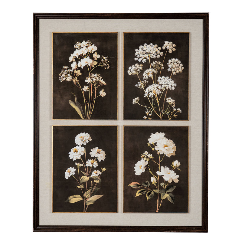 Four Botanicals Framed Wall Art in Classic Frame – 100 × 80cm, framed artwork of four white botanicals on dark panels