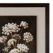 Four Botanicals Framed Wall Art in Classic Frame – 100 × 80cm, close-up of a botanical panel and the mount