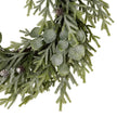 Close-up of the frosted pine and eucalyptus leaves