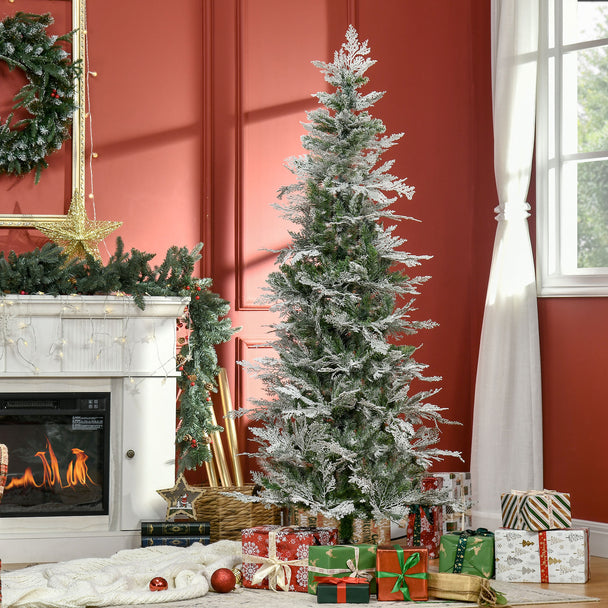6ft snow-tipped pencil cypress tree – image 2