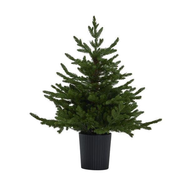 green fir tree in a black pot, unlit