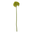 green giant allium artificial stem