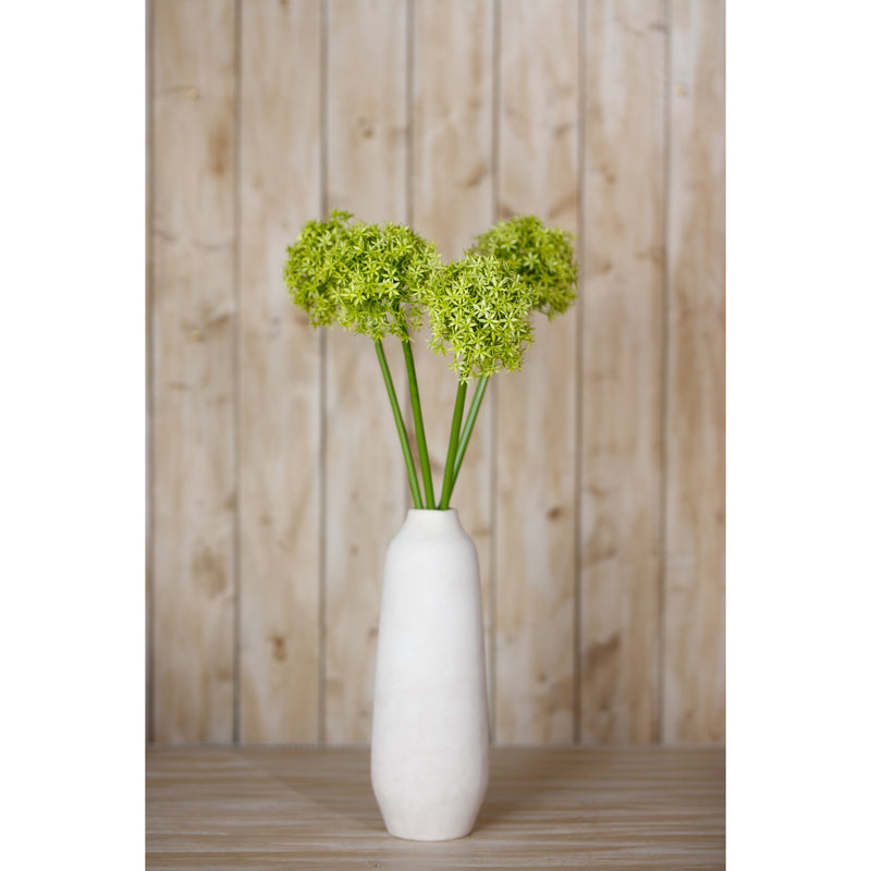 green alliums in a tall white vase against a wooden wall