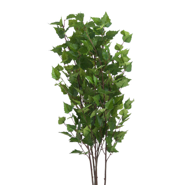 bunch of green branch sprays