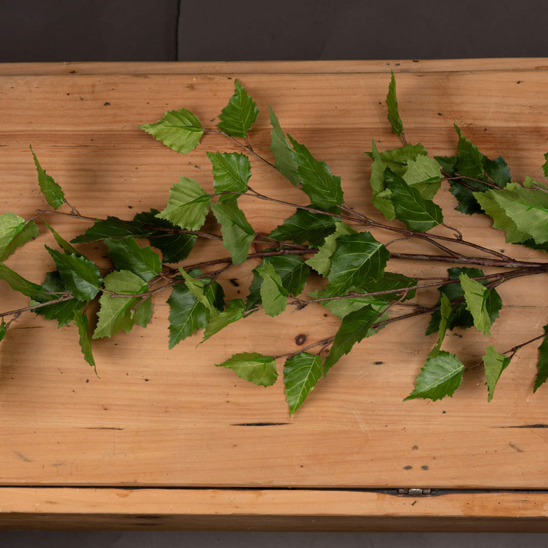 green branch sprays laid on a wooden table