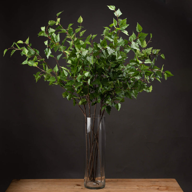 green branch sprays in a tall glass vase