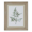 Bracken Fern Watercolour Print in Washed Wood Frame – 50 × 60cm, full artwork view