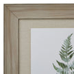 Bracken Fern Watercolour Print in Washed Wood Frame – 50 × 60cm, washed wood frame detail