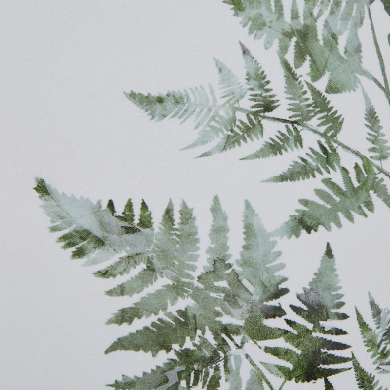 Bracken Fern Watercolour Print in Washed Wood Frame – 50 × 60cm, bracken fern print detail