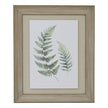 Fern Duo Watercolour Print in Washed Wood Frame – 50 × 60cm, full artwork view