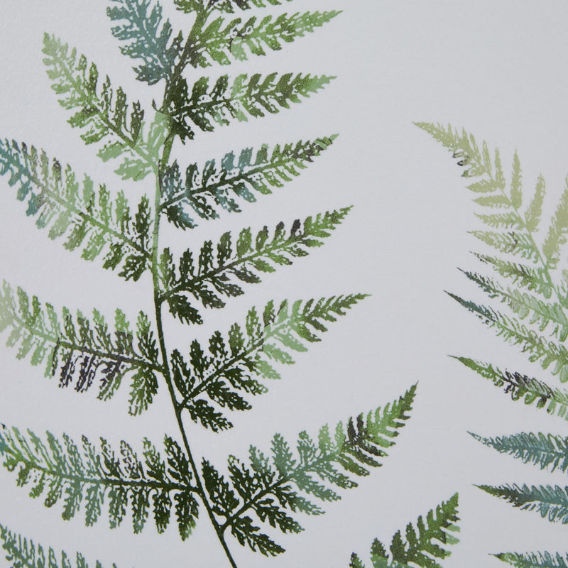 Fern Duo Watercolour Print in Washed Wood Frame – 50 × 60cm, fern duo print detail