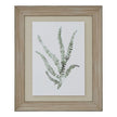 Delicate Fern Watercolour Print in Washed Wood Frame – 50 × 60cm, full artwork view