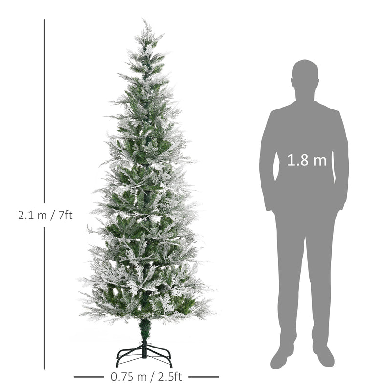 7ft snow-tipped pencil cypress tree – image 3
