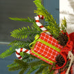 Close-up of Santa's face and beard