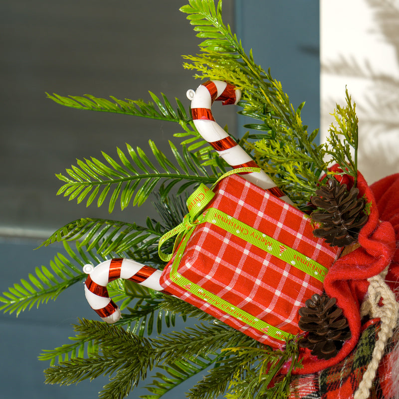 Close-up of Santa's face and beard