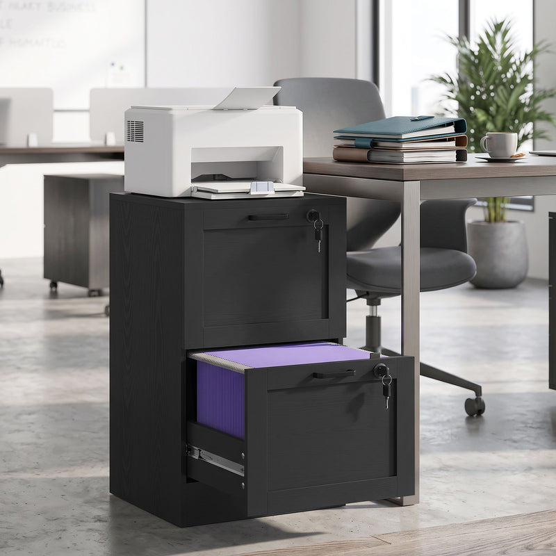 HOMCOM 2-Drawer Filing Cabinet with Lock - Black – view 2