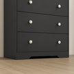 HOMCOM 4 Drawer Chest of Drawers, Modern Dresser for Bedroom, Storage Cabinet for Living Room Entryway, Black Wood – view 9