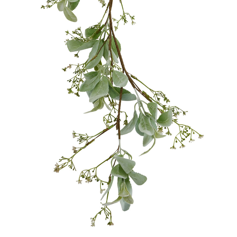 Close-up of the lamb's ear leaves and wax flowers