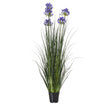 large blue artificial agapanthus in a black pot on white